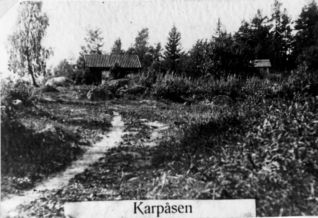 karpsenrevs1905.jpg