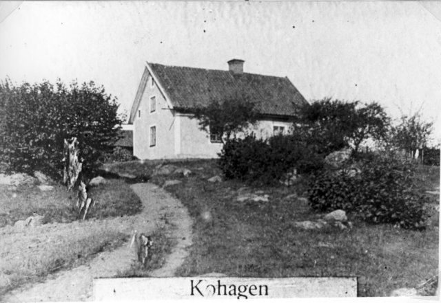 kohagen.jpg